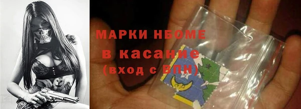 дурь Ельня