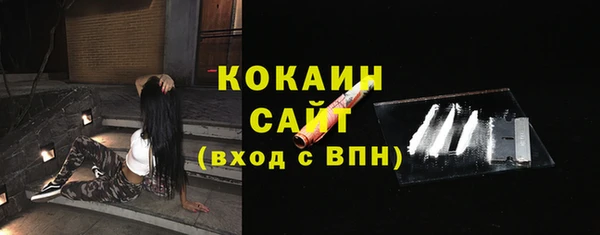 дурь Ельня
