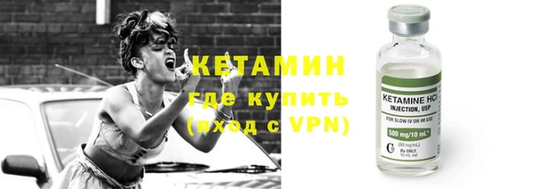 дурь Ельня