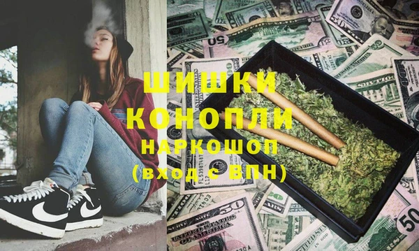 дурь Ельня