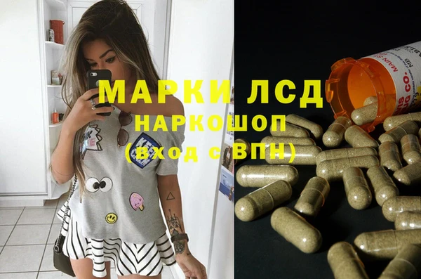 дурь Ельня