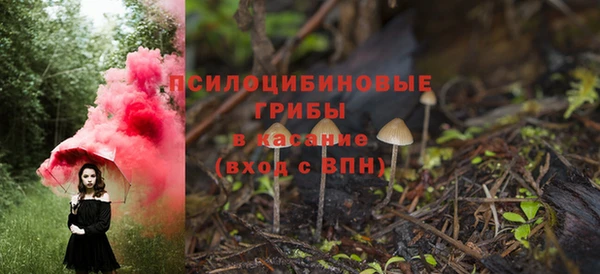 ешки Елизово
