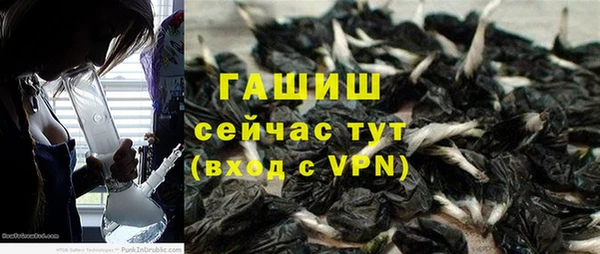 дурь Ельня