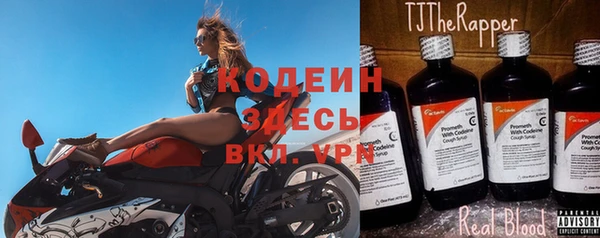 дурь Ельня